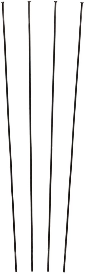 Campagnolo® Zonda C17 Ersatzspeichen Ab Modell 2016